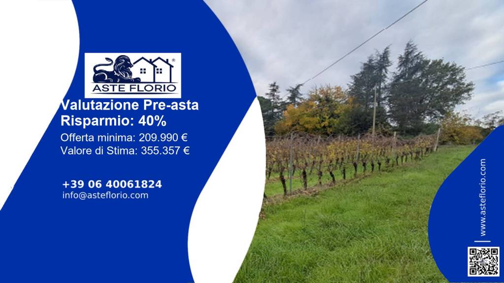 immagine annuncio 1 di 12