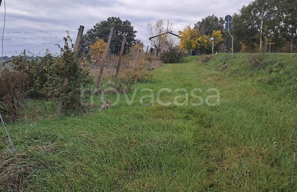 immagine annuncio 2 di 11