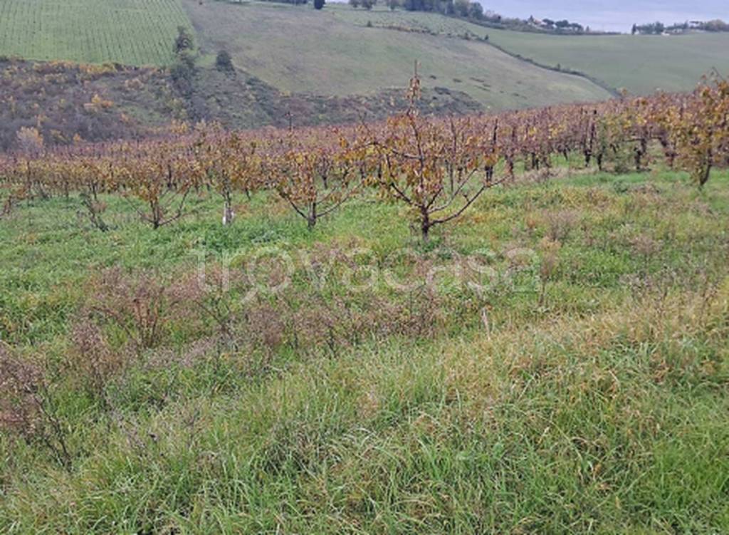 immagine annuncio 5 di 11