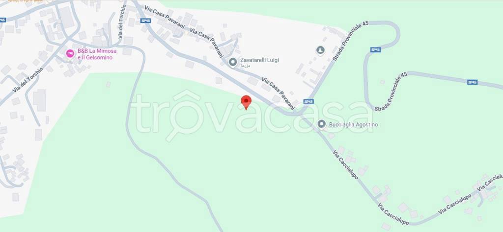 immagine annuncio 3 di 10