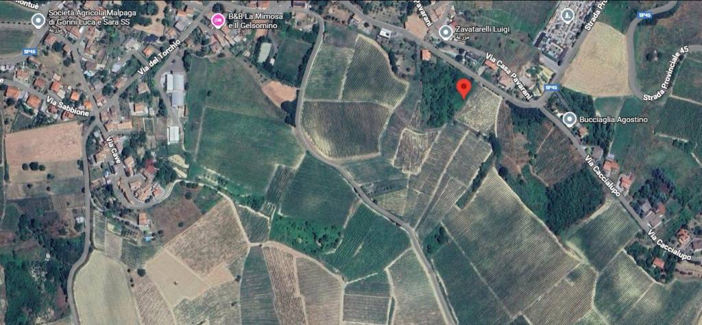 immagine annuncio 8 di 10