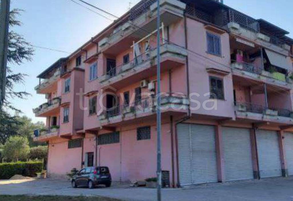 immagine annuncio 11 di 12