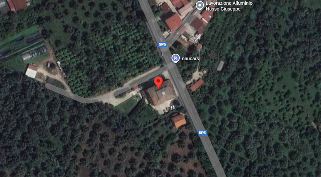 immagine annuncio 5 di 12