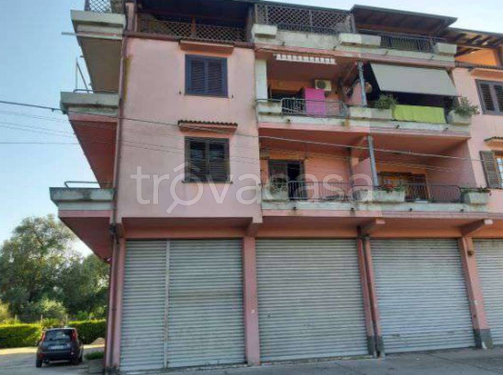 immagine annuncio 9 di 12