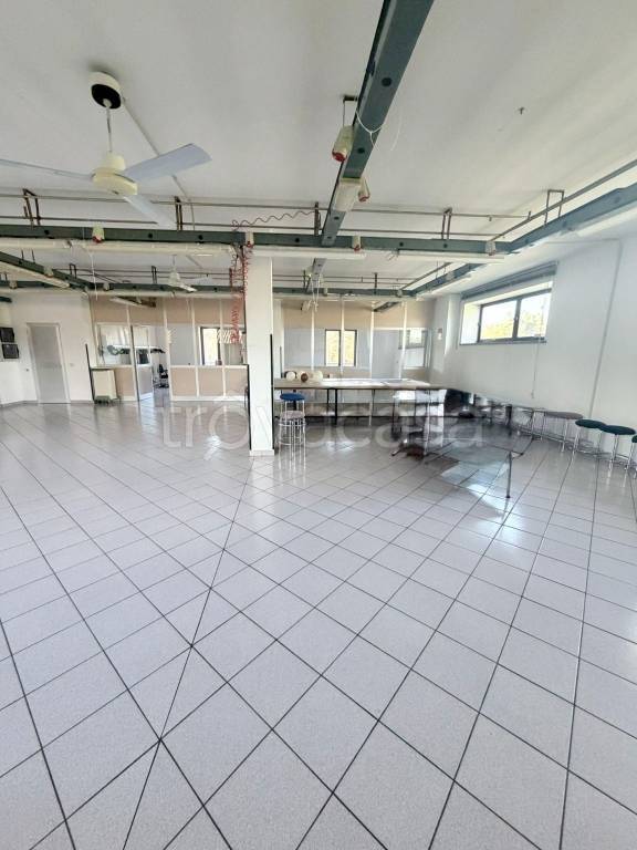 immagine annuncio 4 di 14