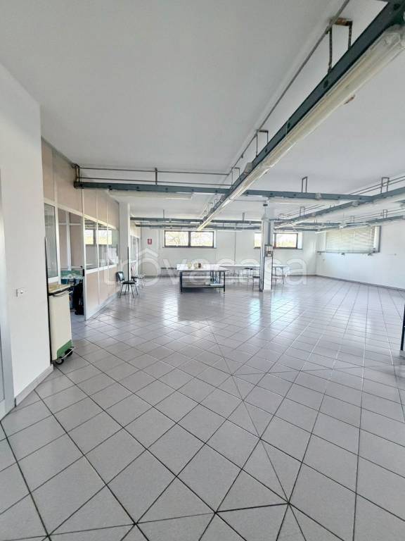 immagine annuncio 6 di 14