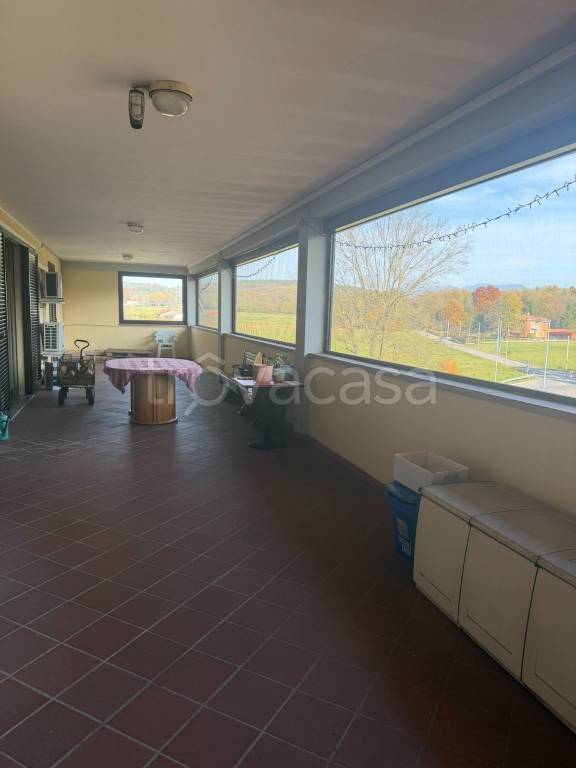 immagine annuncio 12 di 14