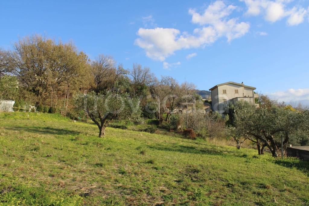 immagine annuncio 6 di 12