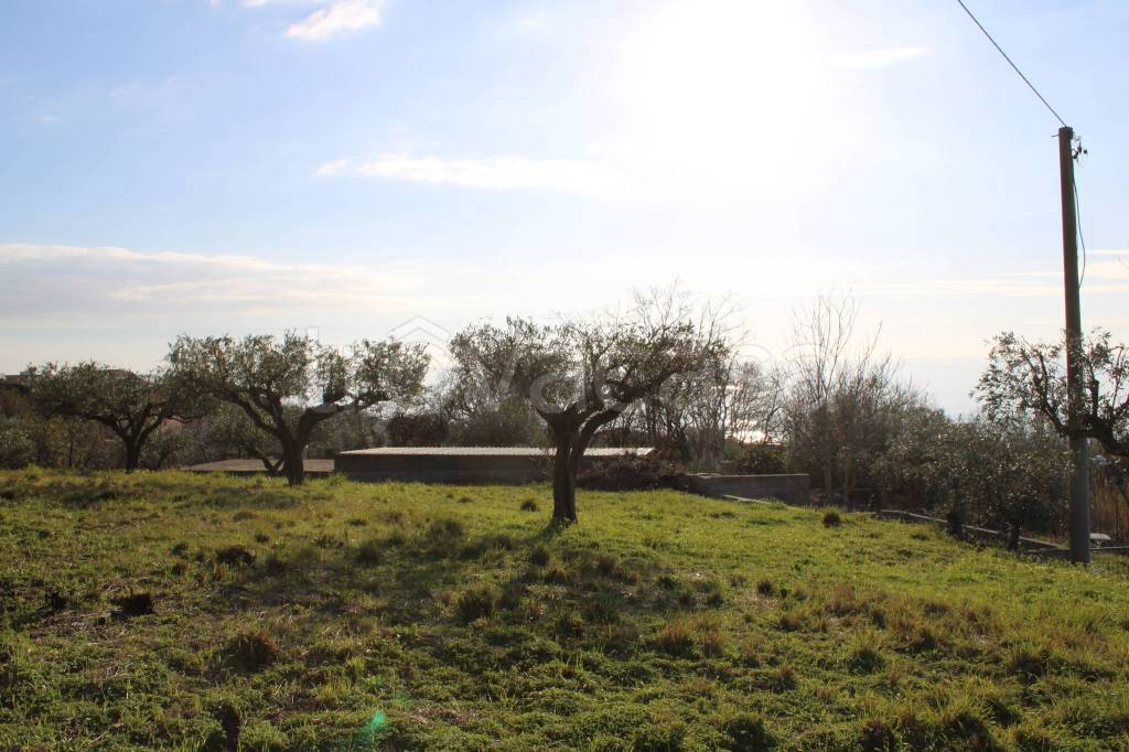 immagine annuncio 10 di 12