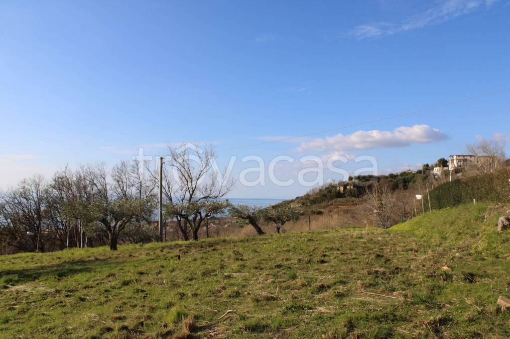 immagine annuncio 8 di 12