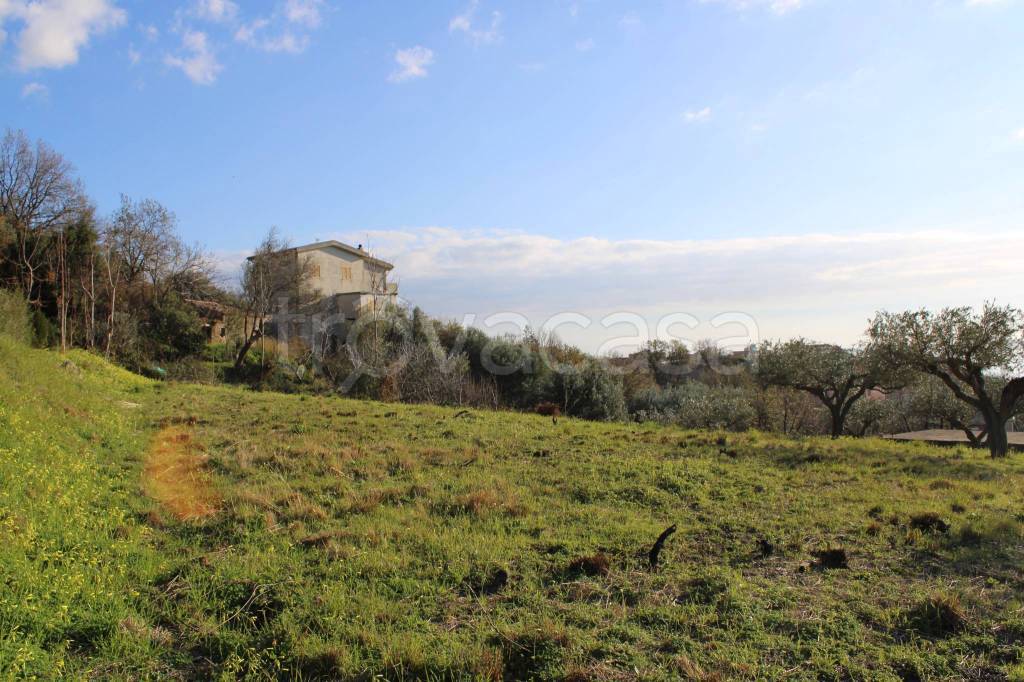 immagine annuncio 1 di 12