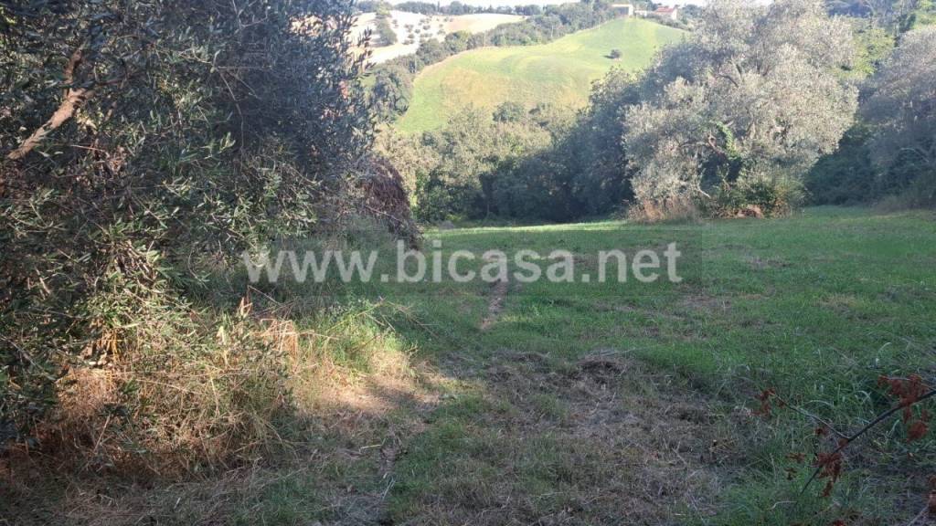 immagine annuncio 1 di 9