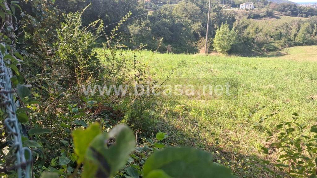 immagine annuncio 7 di 9