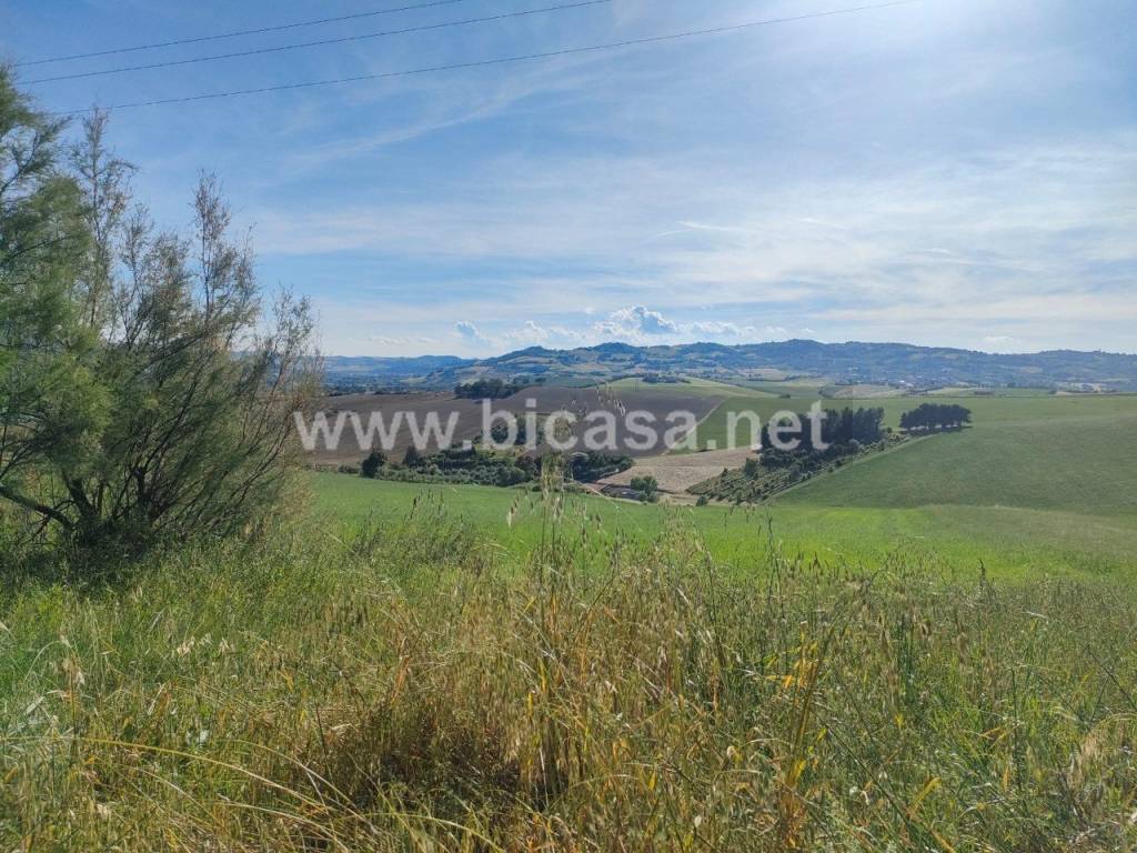 immagine annuncio 3 di 9