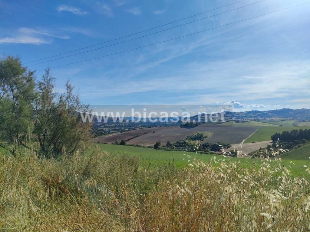 immagine annuncio 4 di 9