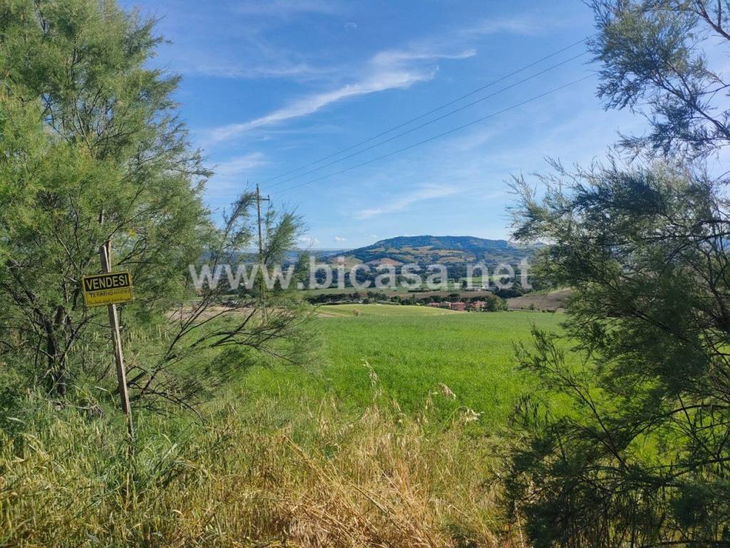 immagine annuncio 5 di 9