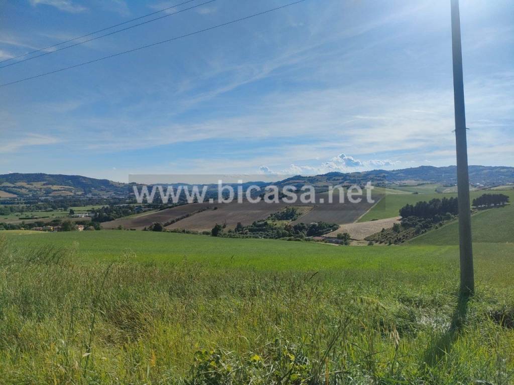 immagine annuncio 8 di 9