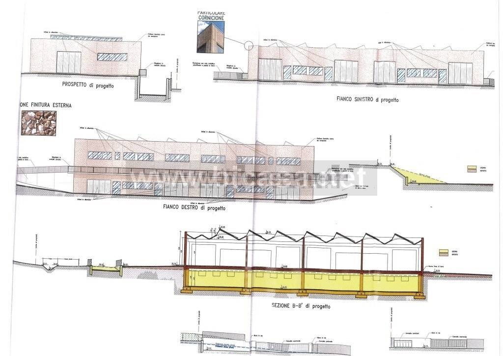 immagine annuncio 4 di 7