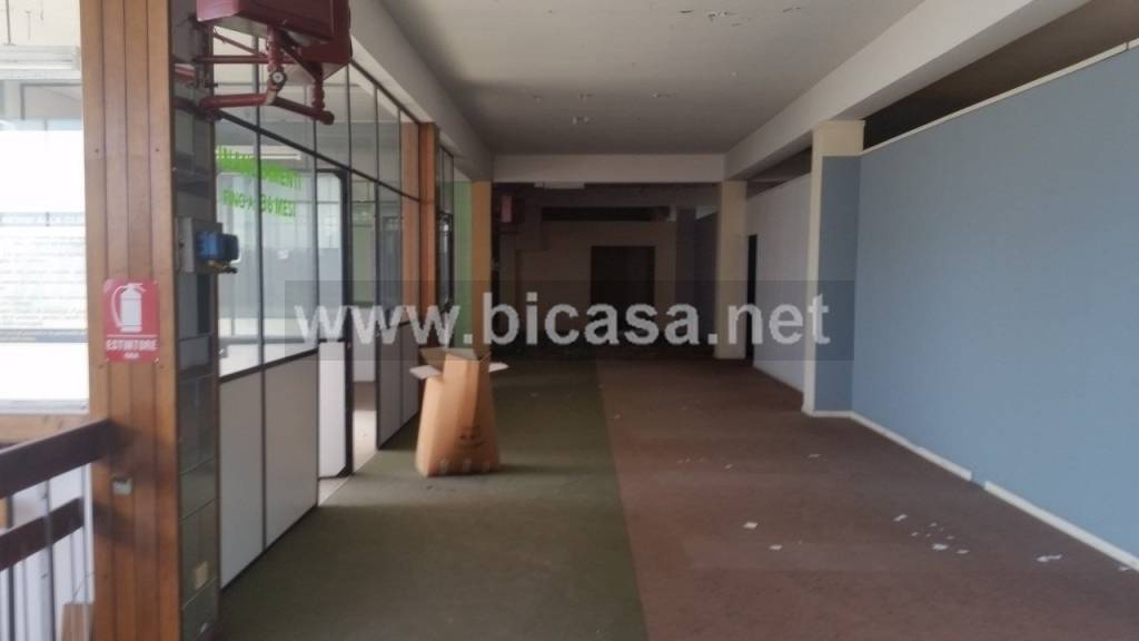 immagine annuncio 2 di 7