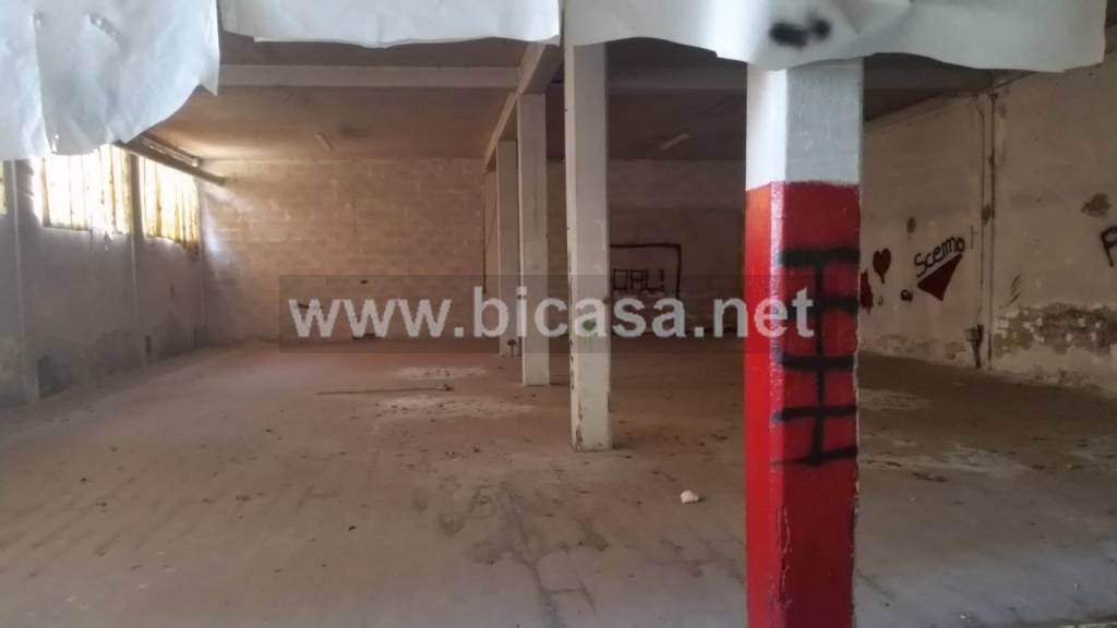 immagine annuncio 5 di 7