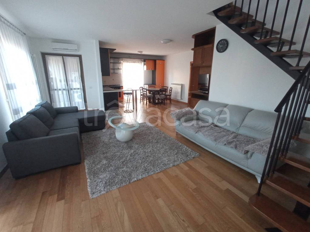 immagine annuncio 5 di 15