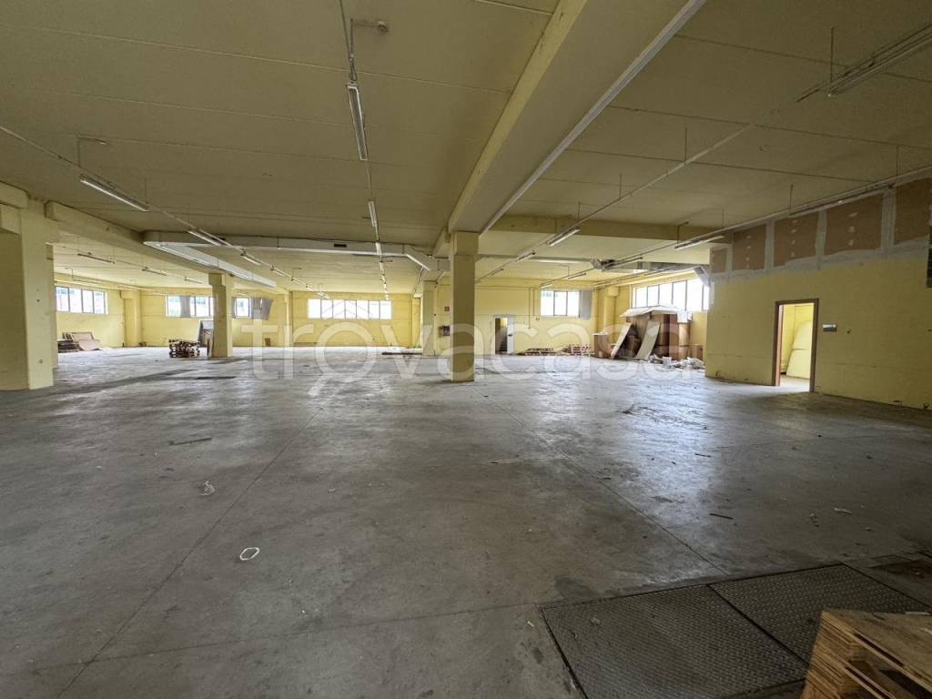 immagine annuncio 2 di 9