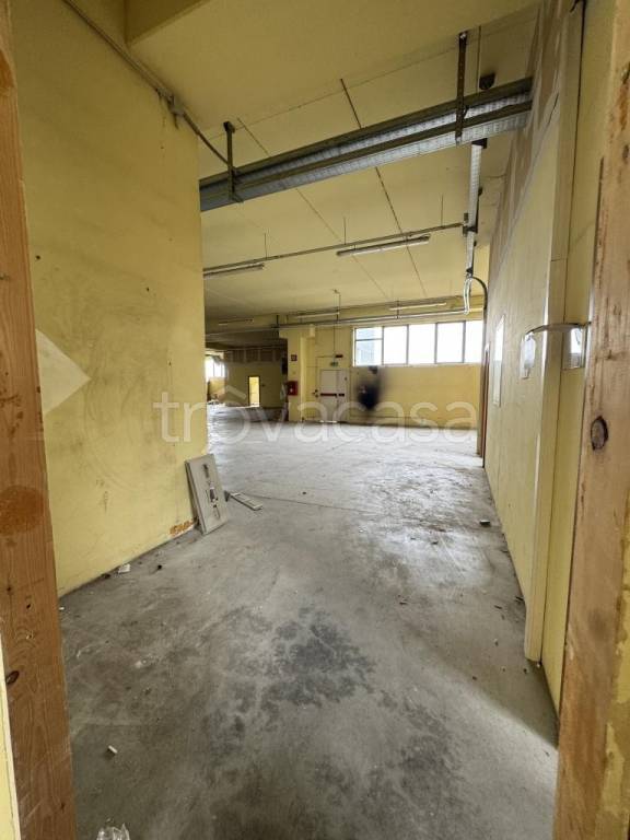 immagine annuncio 3 di 9