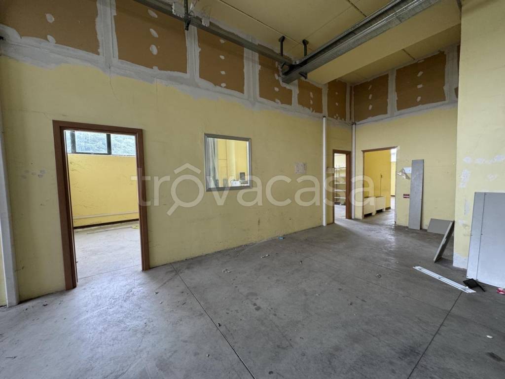 immagine annuncio 5 di 9