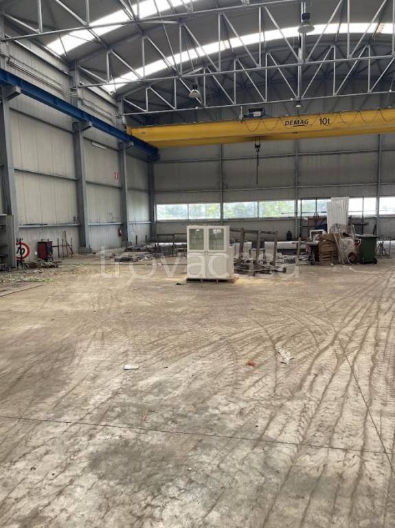 immagine annuncio 4 di 9