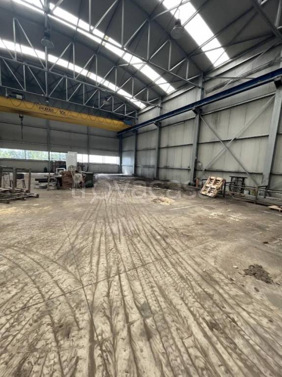 immagine annuncio 5 di 9