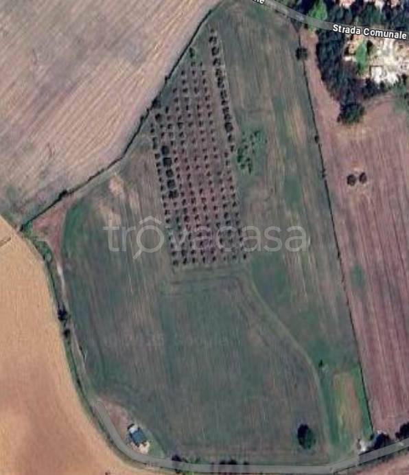 immagine annuncio 3 di 4