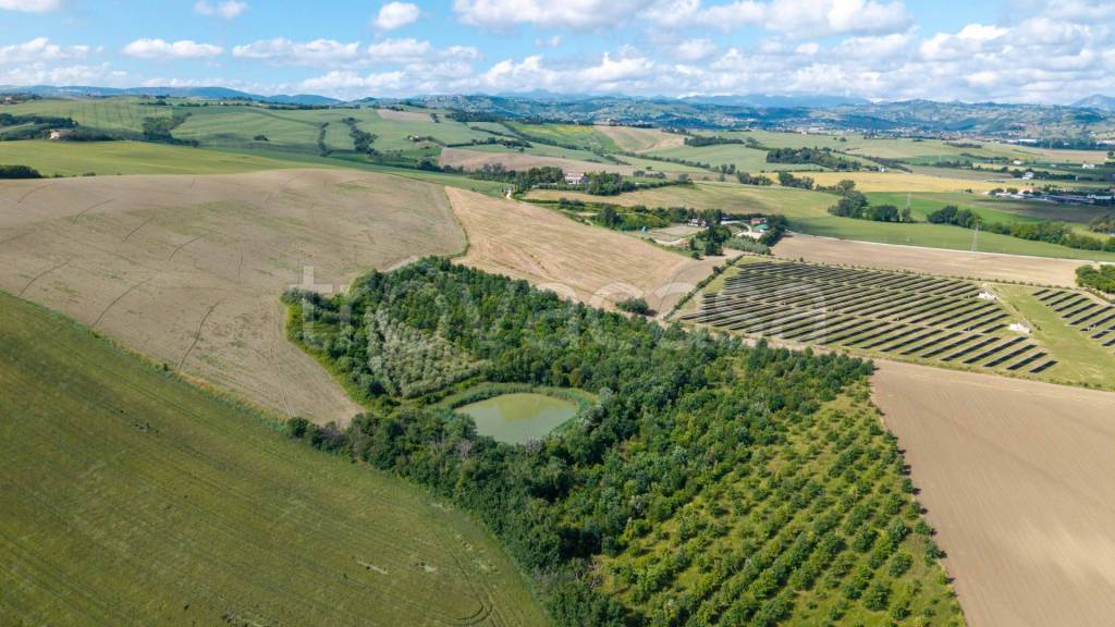 immagine annuncio 11 di 12