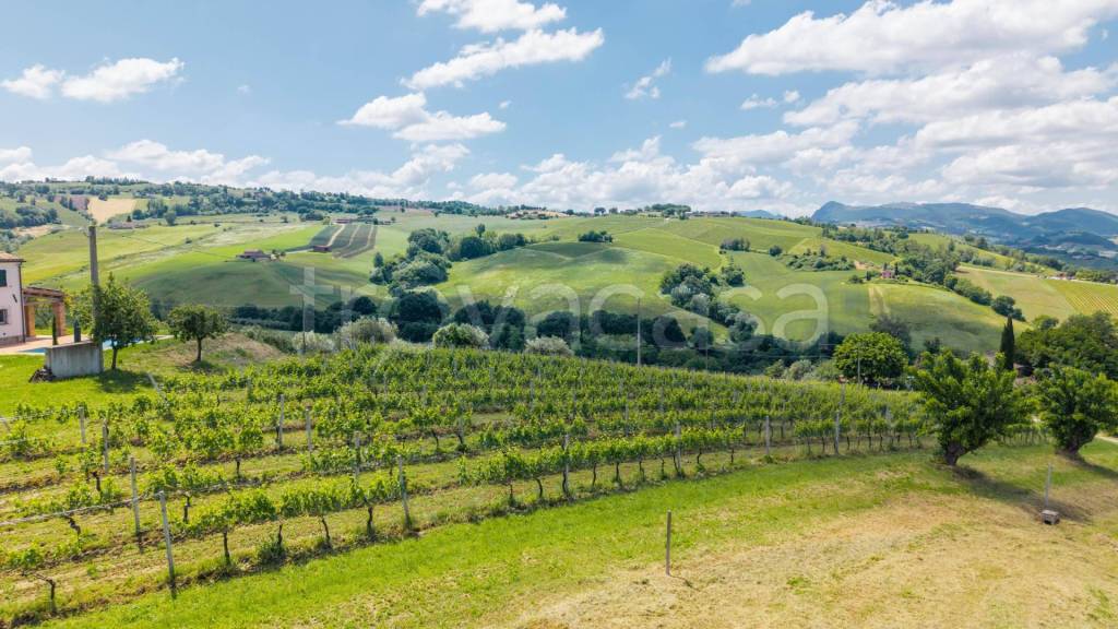 immagine annuncio 4 di 11