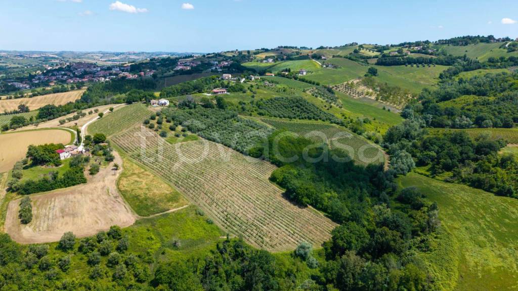 immagine annuncio 5 di 11