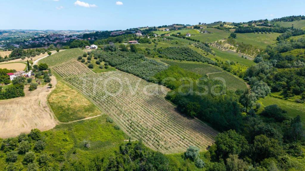 immagine annuncio 6 di 11