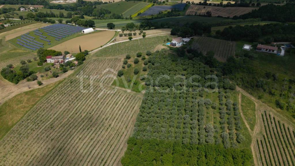 immagine annuncio 8 di 11