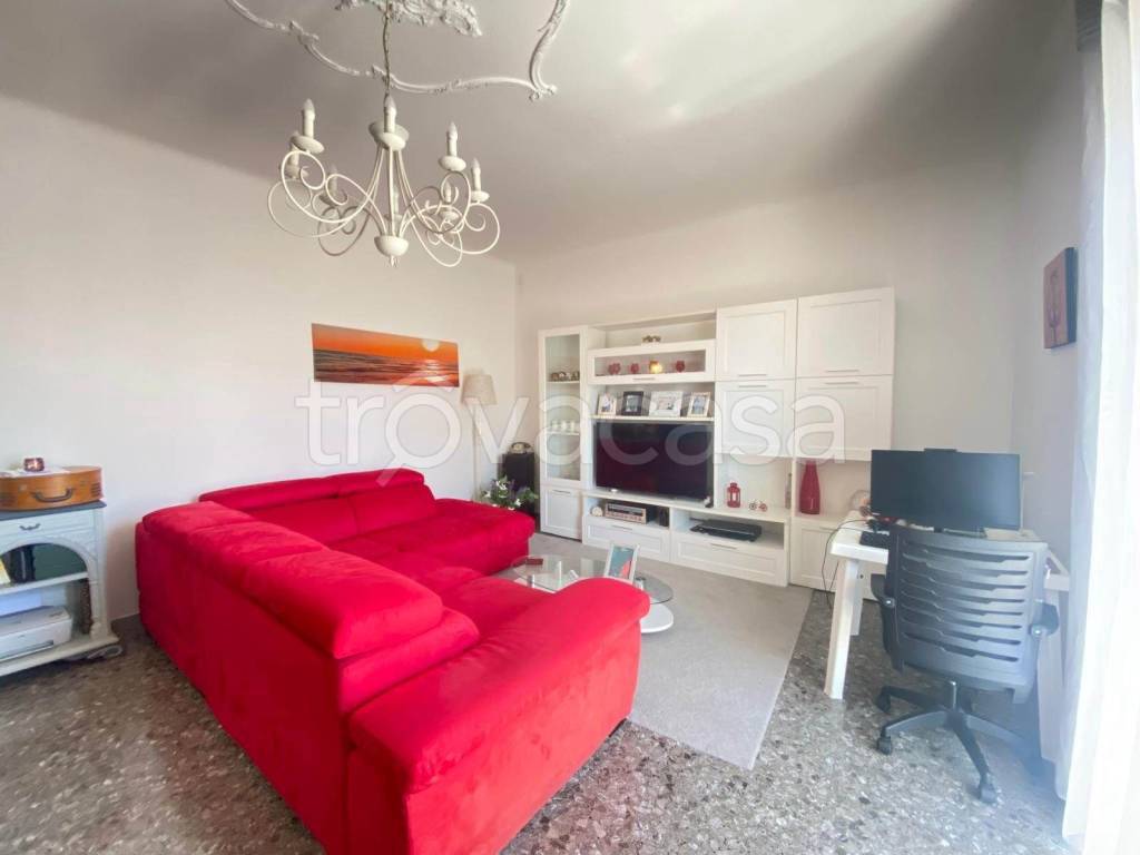 immagine annuncio 3 di 14