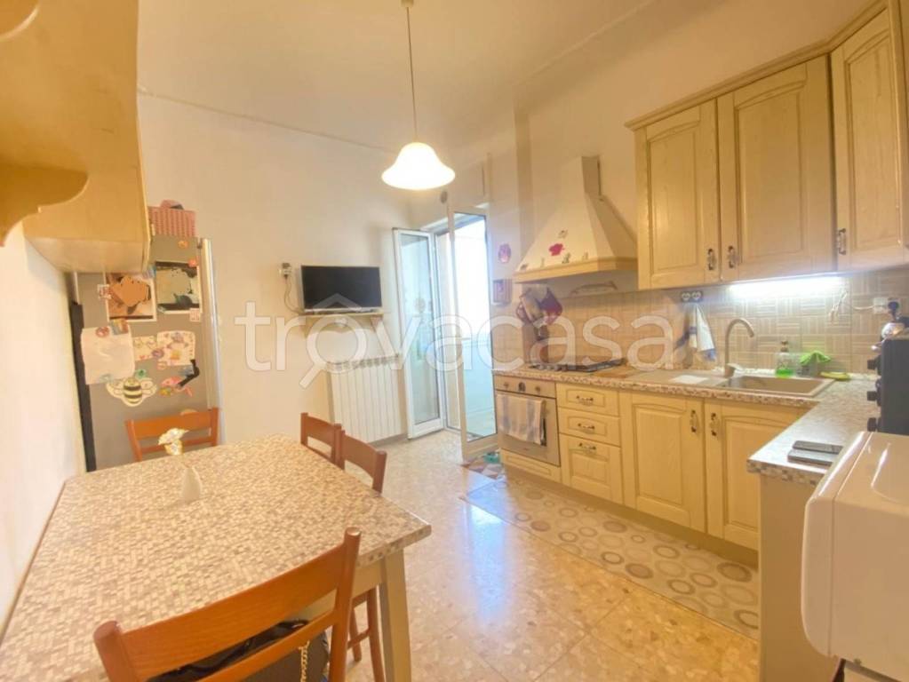 immagine annuncio 5 di 14