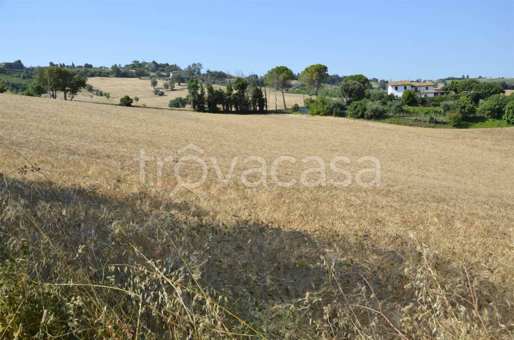 immagine annuncio 7 di 14