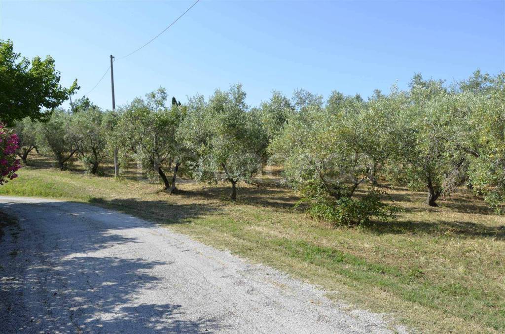 immagine annuncio 12 di 14