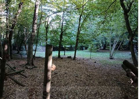 immagine annuncio 3 di 9