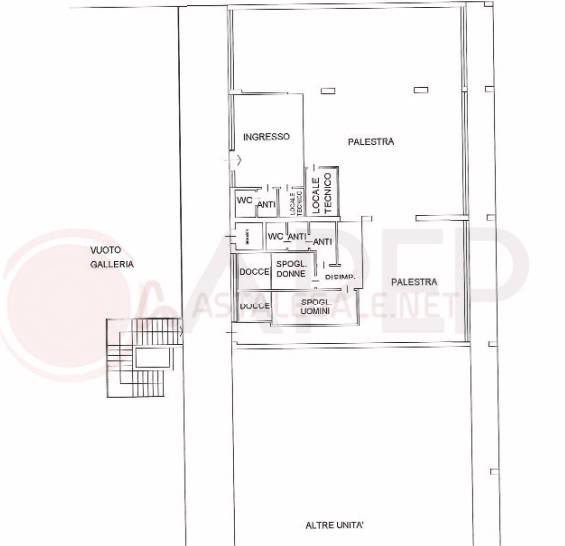 immagine annuncio 12 di 13