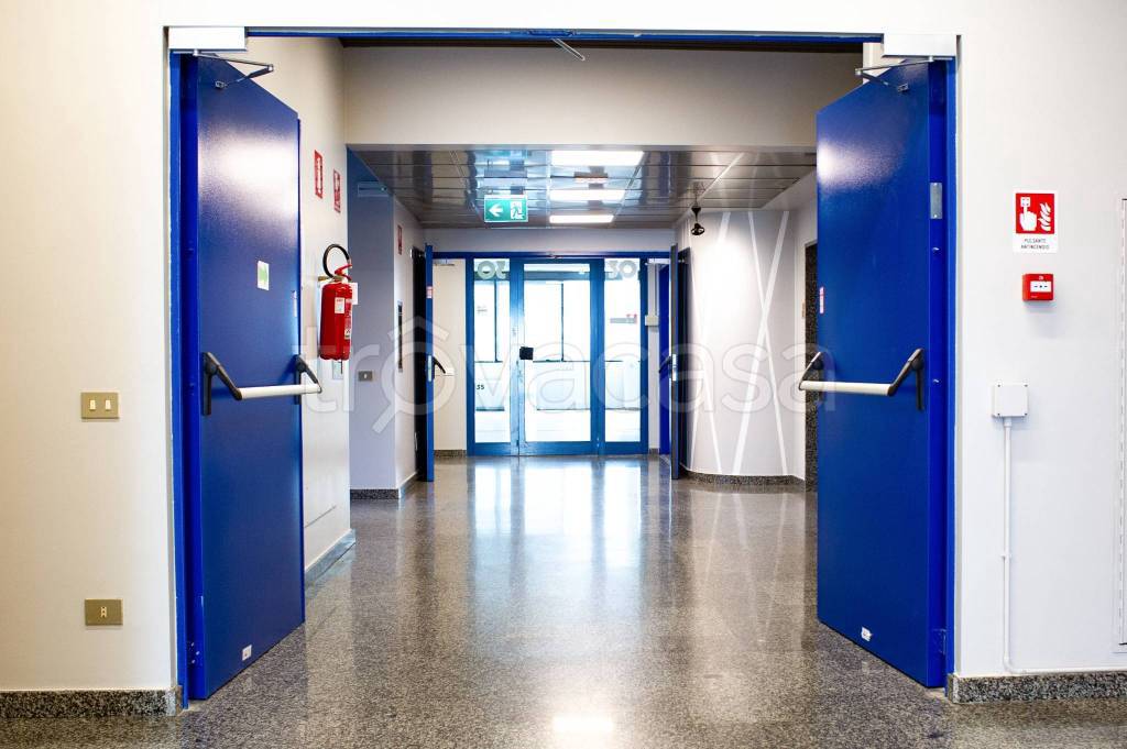 immagine annuncio 3 di 9