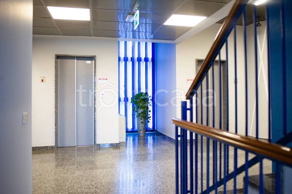 immagine annuncio 6 di 9