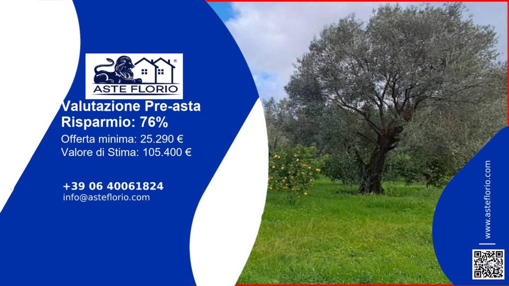 immagine annuncio 1 di 13