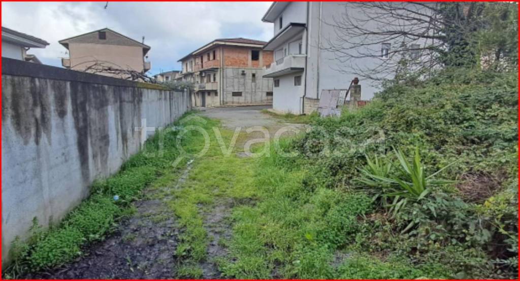 immagine annuncio 4 di 12