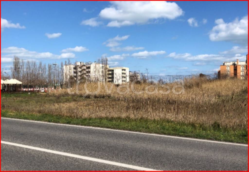 immagine annuncio 3 di 11