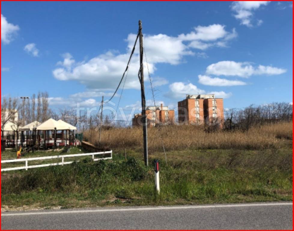 immagine annuncio 4 di 11