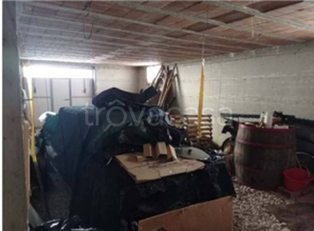 immagine annuncio 4 di 12