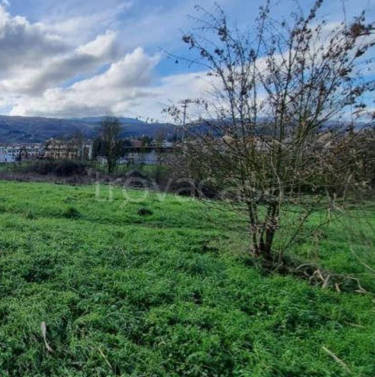 immagine annuncio 4 di 11